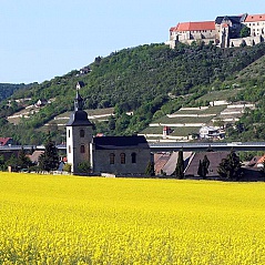 Schlossbesuch Urlaub Ferienhaus Maria Geiseltalsee